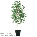 人工観葉植物 ヤマモミジ 緑 200 ポット付き 高さ200cm (P126-91765) (代引き不可) インテリアグリーン フェイクグリーン