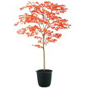 人工観葉植物 ヤマモミジ 150 RED FST ポット付き 高さ150cm (P125-91769) (代引き不可) インテリアグリーン フェイクグリーン