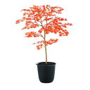 人工観葉植物 ヤマモミジ 100 RED FST ポット付き 高さ100cm (P125-91770) (代引き不可) インテリアグリーン フェイクグリーン