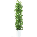 楽天さくらソレイユ　楽天市場店人工観葉植物 MIX ヘゴ ライム/ライム 150 Pole style ポット付き 高さ150cm （P68-91801） （代引き不可） インテリアグリーン フェイクグリーン