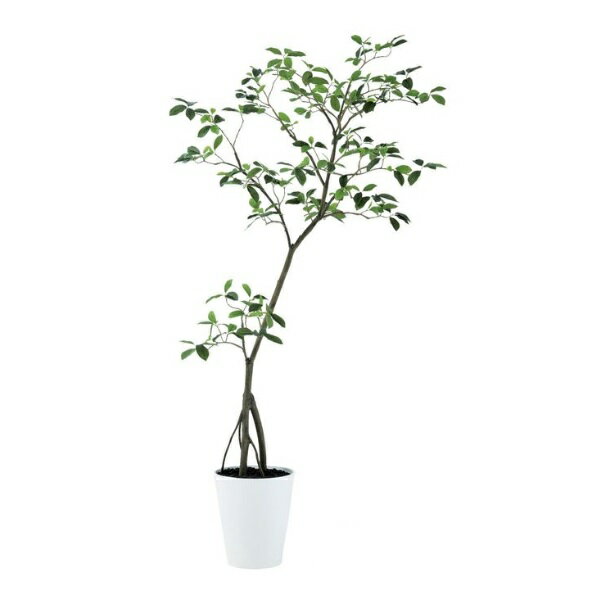 人工観葉植物 ガジュマル FST 180 ポット付き 高さ180cm （P51-91810) （代引き不可） インテリアグリーン フェイクグリーン