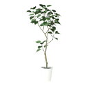 人工観葉植物 インドボダイジュ FST 150 ポット付き 高さ150cm （P47-91858) （代引き不可） インテリアグリーン フェイクグリーン
