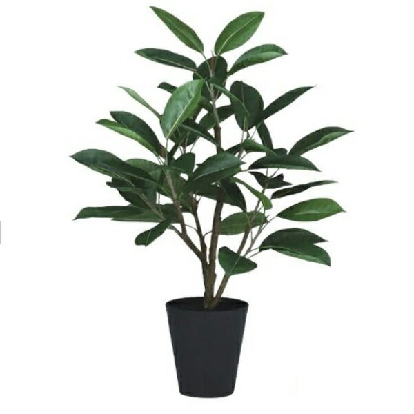 人工観葉植物 デコラゴム FST 80 ポット付き 高さ80cm （P50-91875) （代引き不可） インテリアグリーン フェイクグリーン