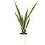 人工観葉植物 サンスベリア ポット付き 高さ65cm （P98-91894) （代引き不可） インテリアグリーン フェイクグリーン