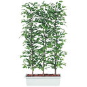 人工観葉植物 ベンシャミナスプラッシュ パーティション 180 natural ポット付き 高さ180cm (P61-96370) (代引き不可) インテリアグリーン フェイクグリーン(4)