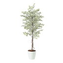人工観葉植物 ベンジャミナスターライト 180 natural ポット付き 高さ180cm (P57-98524) (代引き不可) インテリアグリーン フェイク...