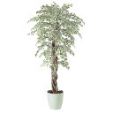 人工観葉植物 ベンジャミナスターライトリアナ 180 natural ポット付き 高さ180cm (P59-98527) (代引き不可) インテリアグリーン フ...