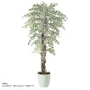 人工観葉植物 ベンジャミナスターライトリアナ 150 natural ポット付き 高さ150cm (P59-98528) (代引き不可) インテリアグリーン フ...