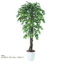 人工観葉植物 ベンシャミナスプラッシュリアナ 150 natural ポット付き 高さ150cm (P59-98534) (代引き不可) インテリアグリーン フ...