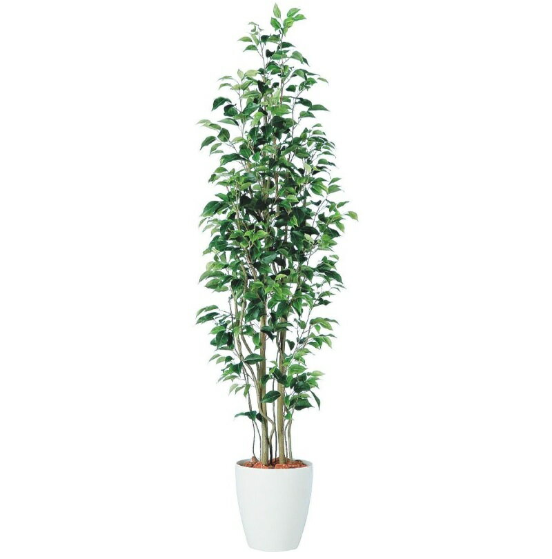人工観葉植物 ベンジャミン スリム FST 180 ポット付き 高さ180cm （P56-98647) （代引き不可） インテリアグリーン フェイクグリーン