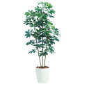 人工観葉植物 シェフレラ 150 ポット付き 高さ150cm (P44-98892) (代引き不可) インテリアグリーン フェイクグリーン