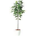 人工観葉植物 アルテシマ FST 200 ポット付き 高さ200cm (P49-98926) (代引き不可) インテリアグリーン フェイクグリーン