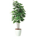 人工観葉植物 アルテシマ 株立 FST 200 ポット付き 高さ200cm (P48-98938) (代引き不可) インテリアグリーン フェイクグリーン