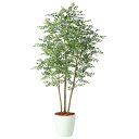 人工観葉植物 ゴールデンリーフ FST 180 ポット付き 高さ180cm (P80-98969) (代引き不可) インテリアグリーン フェイクグリーン