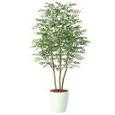 人工観葉植物 ゴールデンリーフ FST 150 ポット付き 高さ150cm (P80-98972) (代引き不可) インテリアグリーン フェイクグリーン