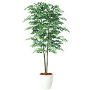 人工観葉植物 アカシアデュアル 180 ポット付き 高さ180cm (P80-98977) (代引き不可) インテリアグリーン フェイクグリーン