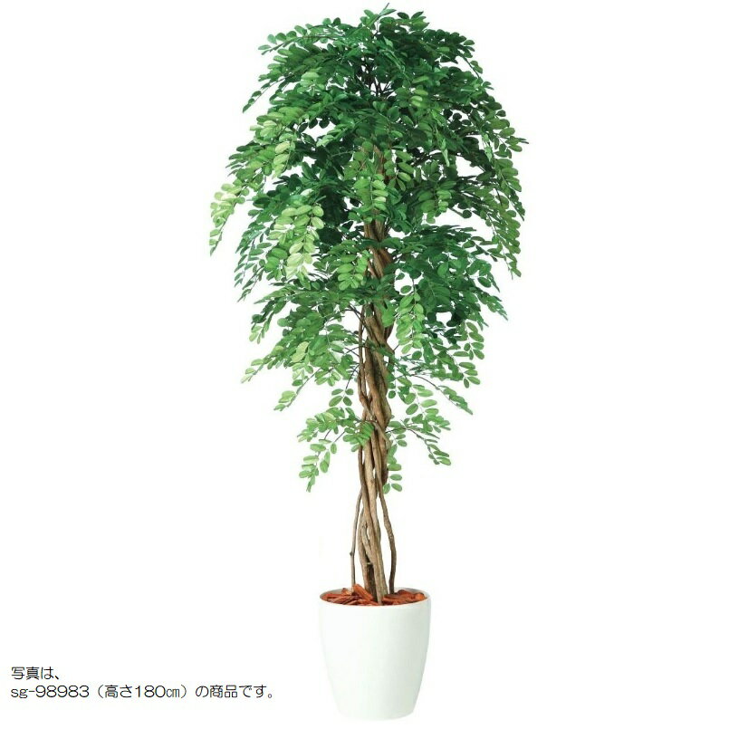 人工観葉植物 アカシアリアナ 150 ポット付き 高さ150cm （P80-98985) （代引き不可） インテリアグリーン フェイクグリーン