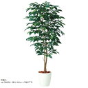 人工観葉植物 コーヒーデュアル 200 ポット付き 高さ200cm (P80-98987) (代引き不可) インテリアグリーン フェイクグリーン