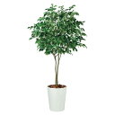 人工観葉植物 ベンジャミン ワイド FST 200 ポット付き 高さ200cm (P56-99120) (代引き不可) インテリアグリーン フェイクグリーン