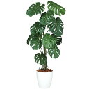 人工観葉植物 モンステラバイン 150 ポット付き 高さ150cm （P93-99127) （代引き不可） インテリアグリーン フェイクグリーン