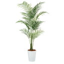人工観葉植物 アカシヤシ PE 200 ポット付き 高さ200cm (P85-99153) (代引き不可) インテリアグリーン フェイクグリーン