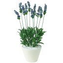 人工観葉植物 ラベンダー ポット付き 高さ45cm (P108-99192) (代引き不可) インテリアグリーン フェイクグリーン