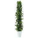楽天さくらソレイユ　楽天市場店人工観葉植物 MIX ヘゴ グリーン/ライム 180 Pole style ポット付き 高さ180cm （P70-99301） （代引き不可） インテリアグリーン フェイクグリーン