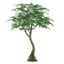 人工観葉植物 アカシア コアッド 230 ポット付き 高さ230cm (P12-99347) (代引き不可) インテリアグリーン フェイクグリーン