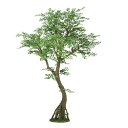 人工観葉植物 ゴールデンリーフ コアッド 230 ポット付き 高さ230cm (P15-99351) (代引き不可) インテリアグリーン フェイクグリーン