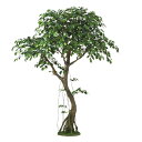 人工観葉植物 フィッカスベンシャミナ コアッド 230 ポット付き 高さ230cm (P13-99353) (代引き不可) インテリアグリーン フェイクグリーン