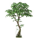 人工観葉植物 ベンシャミナスプラッシュ コアッド 200 高さ200cm (P13-99356) (代引き不可) インテリアグリーン フェイクグリーン
