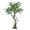 人工観葉植物 ガジュマル コアッド 230 ポット付き 高さ230cm (P14-99363) (代引き不可) インテリアグリーン フェイクグリーン