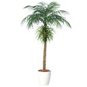 人工観葉植物 フェニックス・ロベレニー PLUS 200〜300 ポット付き 高さ200〜300cm (P83-99454) (代引き不可) インテリアグリーン...