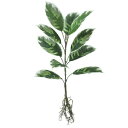 人工観葉植物 デコラトリカラー ルーツ ブッシュ 長さ50cm (P132-99482) (代引き不可) インテリアグリーン フェイクグリーン