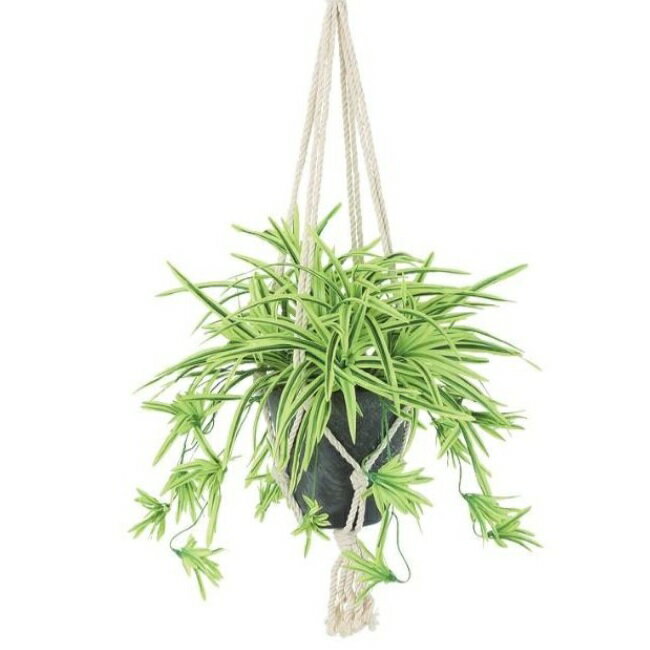 オリヅルラン 人工観葉植物 オリヅルラン G/Y ハンキング ポット付き 高さ25×長さ30（総全長約75）cm （P117-99547) （代引き不可） インテリアグリーン フェイクグリーン