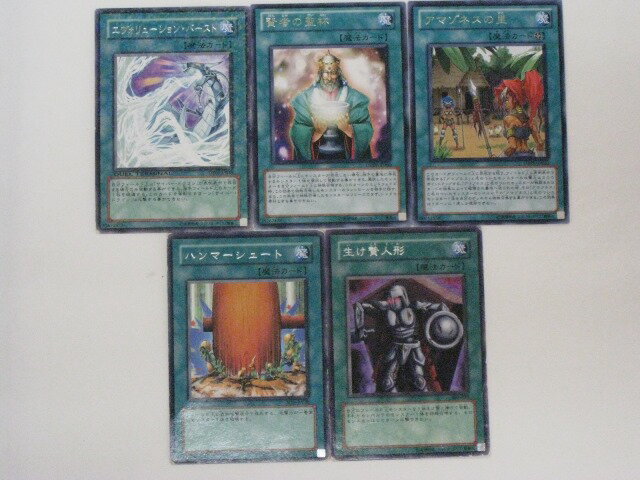 【エヴォリューション・バースト 賢者の聖杯 アマゾネスの里 ハンマーシュ-ト 生け贄人形 計5枚セット】【遊戯王/カード】【中古】【代引き不可】