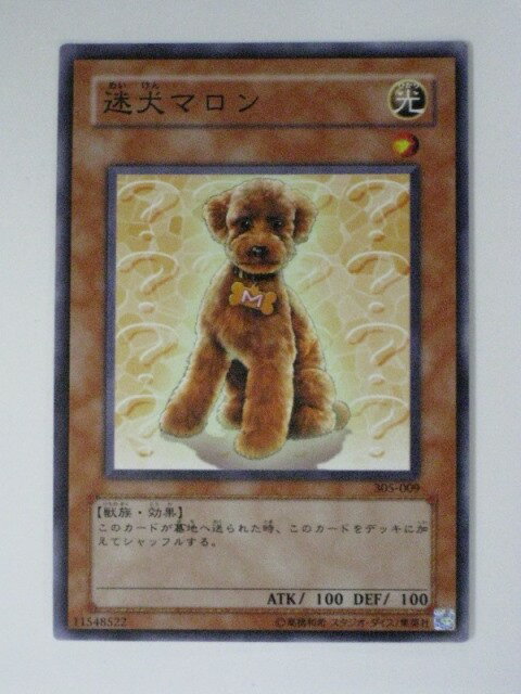迷犬マロン(305-009)遊戯王カード、遊戯王OCGシングルカード【中古】【代引き不可】