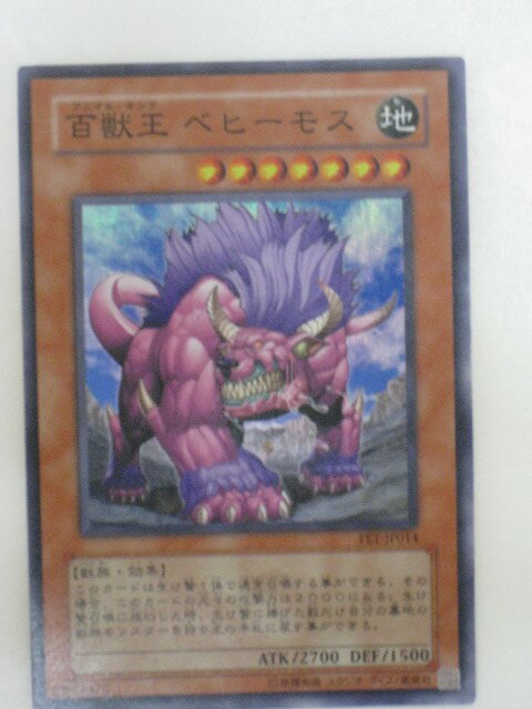 楽天市場】遊戯王 百獣王 ベヒーモス FLAMING ETERNITY 楽天市場】遊戯王 百獣王 ベヒーモス FLAMING ETERNITY