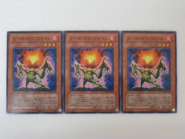 遊戯王 カードシード・オブ・フレイム 3枚セットEXP2ノーマル トレカ 【中古】【代引き不可】