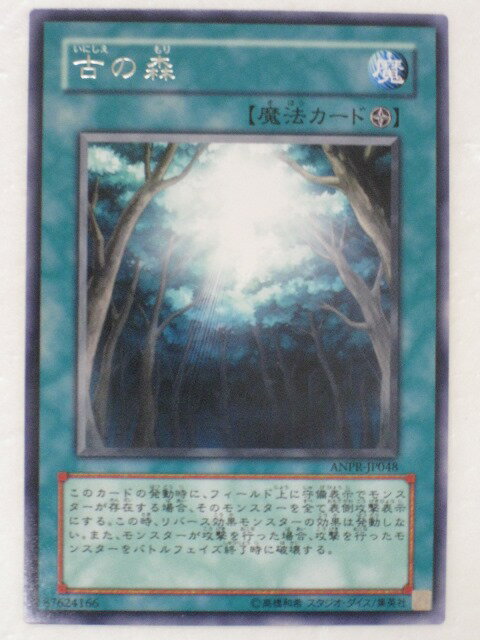 ͷɸŤο ANCIENT PROPHECYͷͷy2182 ȥ쥫 šۡԲġ