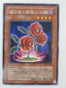 遊戯王 カード【返り咲く薔薇の大輪】【TSHD-JP016】 遊戯王 OCG シングルカード トレカ 【中古】【代引き不可】