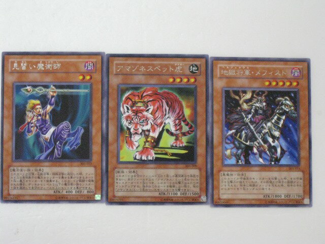 遊戯王 カード見習い魔術師、アマゾネスペットタイガー、地獄将軍・メフィスト 計3枚セット (遊戯王お買得セット)【中古】【代引き不可】