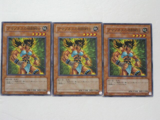 遊戯王 カード【アマゾネスの格闘戦士3枚セット】【シングル中古カード通販遊戯王】 トレカ 【中古】【代引き不可】
