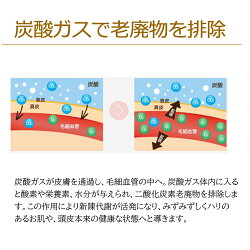 LP画像