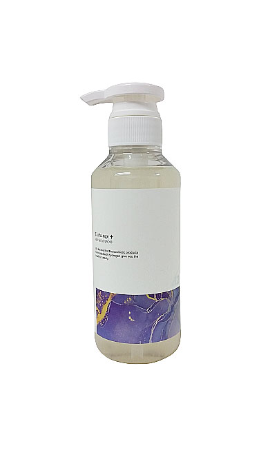 (ks) ストリ エクスチェンジ プラス H2 シャンプー 300ml 水素 スカルプケア 地肌ケア ヘアケア exchange+ シリカ サロン専売 美容室専売 STRIのサムネイル