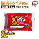 【30枚入り】カイロ 貼らないカイロ ミニ 30枚 使い捨てカイロ まとめ買い 使い捨て 貼らない 貼れない 貼らないタイプ レジャー お出かけ 屋外 防寒 寒...