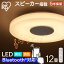 󥰥饤 ԡ Bluetooth 12 ĴĴ LED ꥹ̵ Bluetoothб 5ǯݾ ԡ ޥ³ 10ʳĴĴ ӥ ˥  CEA-2112DLSP  24GH