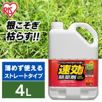 除草剤 速効除草剤 4L 雑草対策 除草 除草剤 4リットル 除草 草むしり 草 秋 雑草 速効 庭 手入れ 雑草 液状 薄めない そのまま ストレートタイプ 根 草木 駐車場 根こそぎ 徹底 スギナ 住宅 アイリスオーヤマ SJS-4L