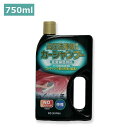 《1,000円ポッキリ!》洗剤 車 カーシャンプー タンク式高圧洗浄機専用 750ml アイリスオーヤマ全塗装色対応カーシャンプー高圧洗浄機 家庭用 業務用 高圧洗浄機 網戸 窓 壁 洗車 2階 掃除道具 網戸掃除 窓掃除 清掃用品 掃除用品 除染 KZS-750