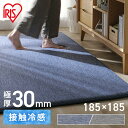 ラグ アイリスオーヤマ ラ・クッションラグ ラクッションラグ ACR1C-1818 ラグマット 2畳 185×185 厚手 らぐ カーペット 夏用 厚い おしゃ...